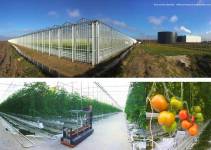 ent-professionnel-fabien-prouvost-arques